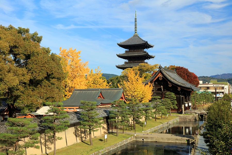 KHÁM PHÁ XỨ SỞ MẶT TRỜI MỌC 2026: OSAKA – NARA – KYOTO – NAGOYA – FUJI –TOKYO